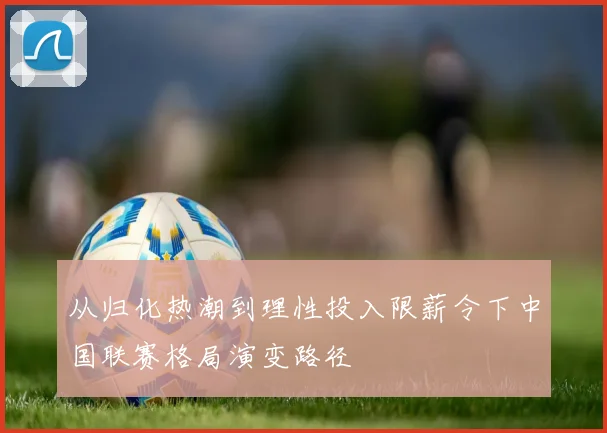 从归化热潮到理性投入限薪令下中国联赛格局演变路径