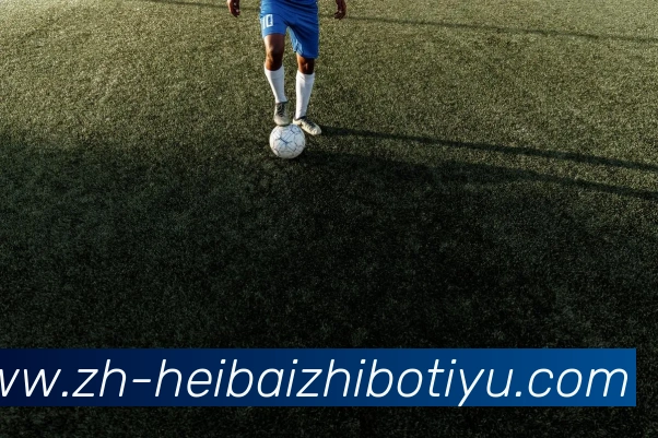 黑白直播体育平台生态图