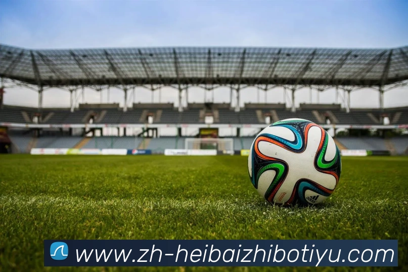 黑白直播体育全站App